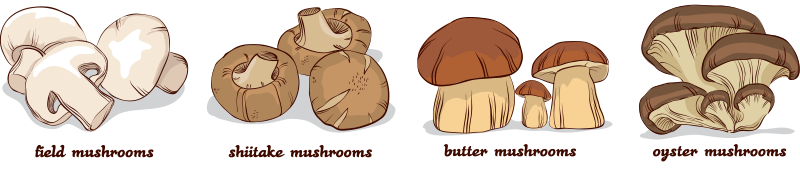 Mushrooms for depression?